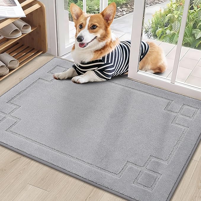 BEQHAUSE Door Mat 24" x 36", Non-Slip Door Mats Indoor Entryway Rugs Washable by BEQHAUSE
