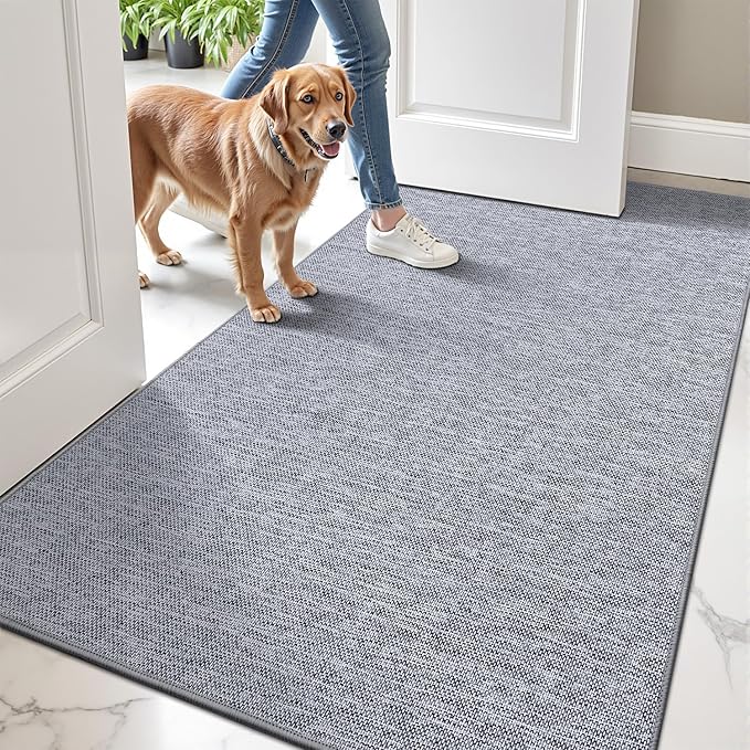 LUMI Ultra Thin Door Mat for Entryway, Easy Clean Welcome Entrance Mat for by LUMI