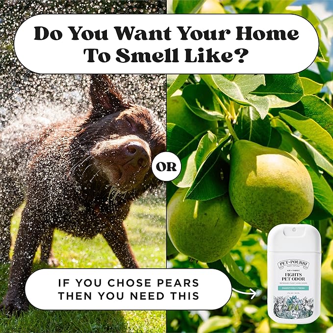Poo-Pourri Pawsitively Fresh Pocket Deodorizer Spray – Dog & Cat Odor Remover – - Image 10