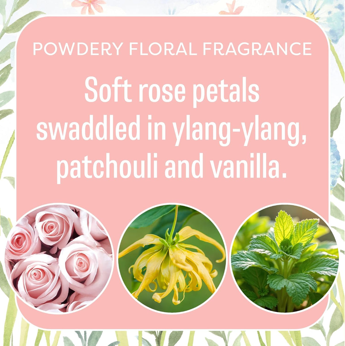 Fresh Scents Baby Powder Scented Sachets 6 Pack